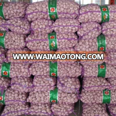 China Garlic new garlic garlic price garlic package garlic food