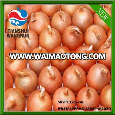 China yellow onion fresh onion red onion chinese fresh red onion onion price