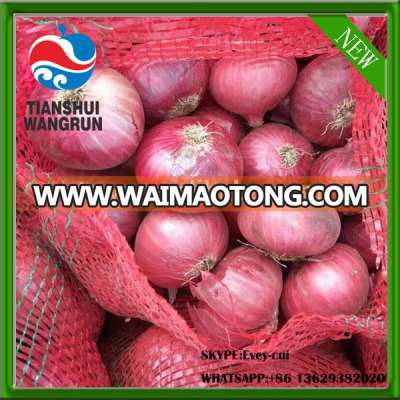 red fresh onion new season onion best quality onions round onion Gansu red onions