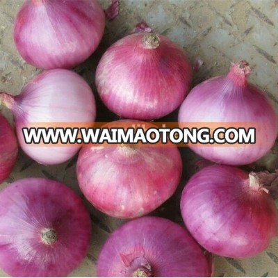 Chinese fresh red onion yellow onions for export