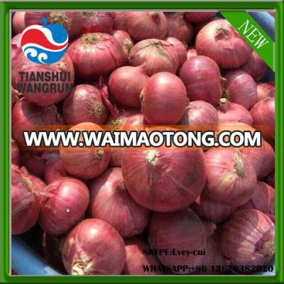 china red onion Chinese fresh onions round onion price onion gansu origin