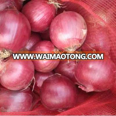 New crop onion for export Round onion wholesale