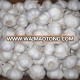 High Quality Pure White Garlic